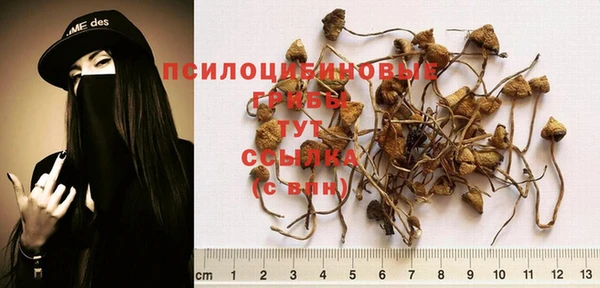 дурь Балабаново