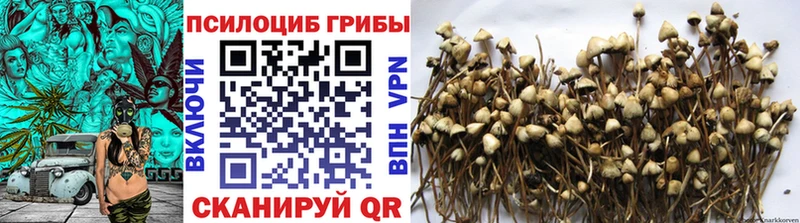 Галлюциногенные грибы MAGIC MUSHROOMS  Купить где  Краснозаводск 